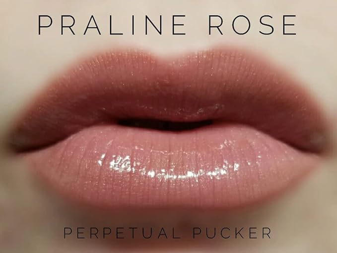 LipSense Bundle (Apple Cider) 1 Lip Color Glossy