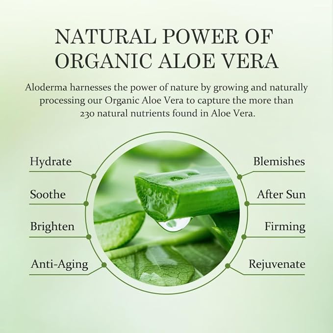 Aloderma Aloe Firming Eye Cream Made with 70% Organic Aloe Vera - Natural Daily Hydrating Eye Cream with Jojoba, Hyaluronic Acid, & Organic Aloe - Reduce Signs of Aging, Fine Lines & Wrinkles, 25g