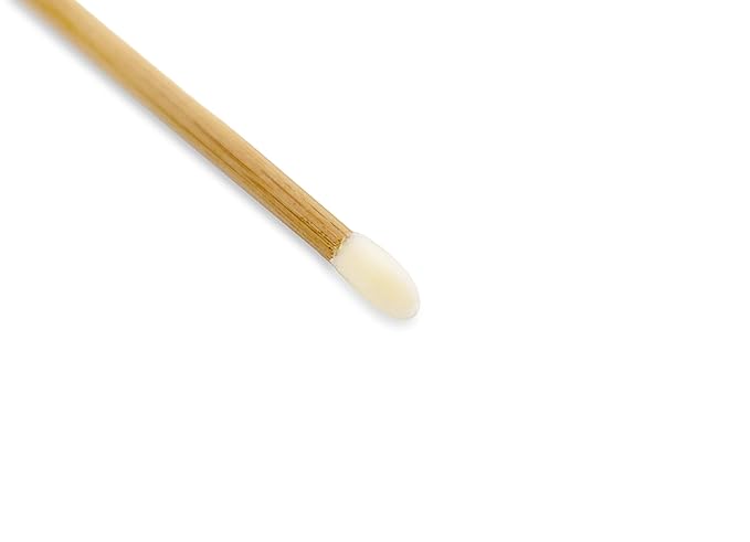 Artist's Choice Lip Gloss Applicators - Sponge Tip for Effortless Blending, Soft Pad with Angled Edges for Precise Control, Single-Use Option for Professionals