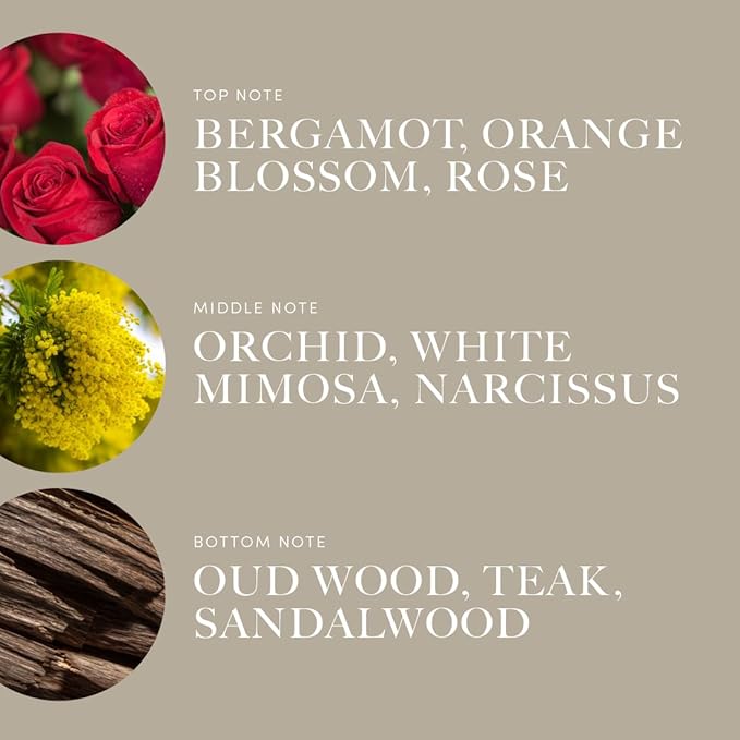 Aroma360 | Disney Pro- Pod | A Whole New World Fragrance Oil Blend | Disney Princess Jasmine | Luxury Essential Oil Diffuser | Aromatherapy Scent Diffuser Oil | Bergamot Orange Blossom Rose 1.7 fl oz