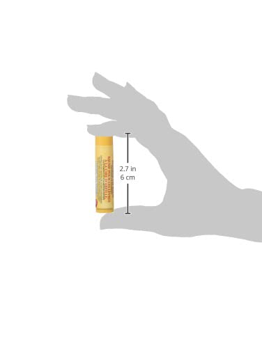 Burt's Bees Beeswax Lip Balm Tube,