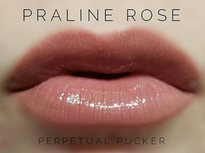 LipSense Bundle (Apple Cider) 1 Lip Color Glossy