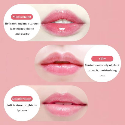 6 PCS Hydrating Lip Balm Aloe