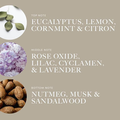 Aroma360 - Across The Universe Pro Pod Fragrance Oil Blend | Hotel Inspired Luxury Essential Oil Diffuser | Aromatherapy Scent Diffuser Oil | Eucalyptus, Citrus and Soft Florals 1.7 fl oz, 50 mL