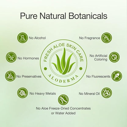 Aloderma Organic Aloe Vera Gel for Body Made within 12 Hours of Harvest, 96% Pure Aloe Vera Gel for Skin, Scalp, & Hair, Soothing Aloe Face Moisturizer, Multipurpose, Hydrating Aloe Gel, 7oz, 6 Pack