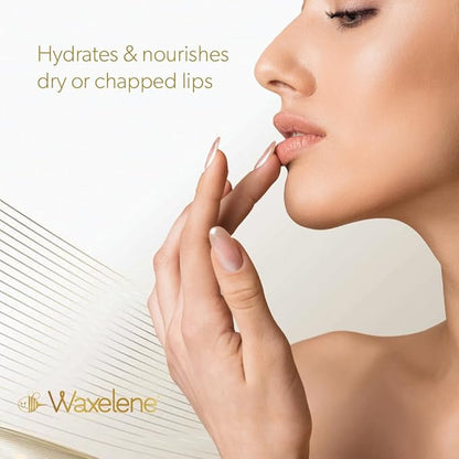 Waxelene Lavender Aerated Lip Balm Tin