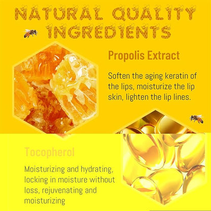 4PCS Lip Balm Honey Pot, Honey Sleeping