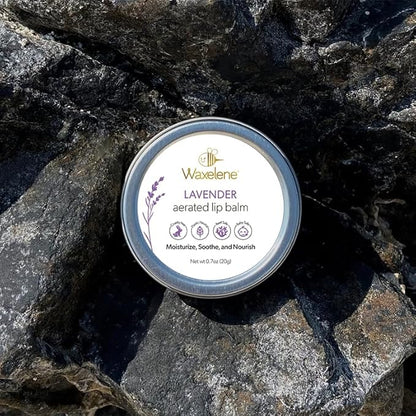 Waxelene Lavender Aerated Lip Balm Tin