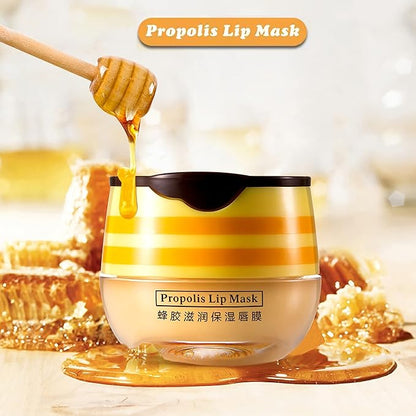 4PCS Nourishing Lip Balm Honey Pot,