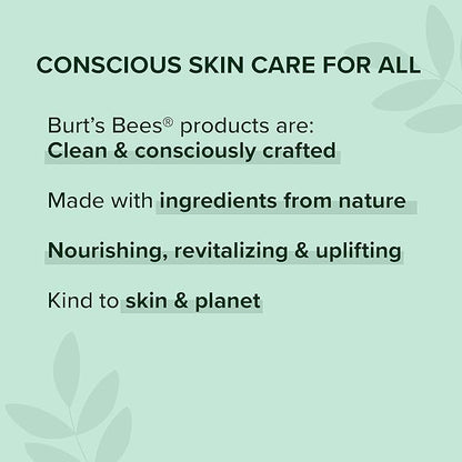 Burt's Bees Lip Balm - Beeswax,