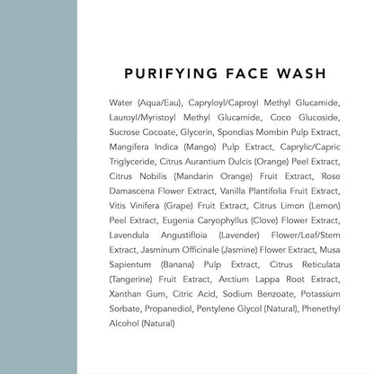 Indie Lee Purifying Face Wash - Hydrating Facial Cleanser + Makeup Remover - With Orange, Lavender, Burdock + Jasmine - Foam Face Wash for All Skin Types (125ml)