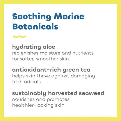 Seaweed Bath Co. Sheer Protect Daily SPF 30 Broad Spectrum Hybrid Sunscreen Cream, 3.4 Ounce, Sustainably Harvested Seaweed, Aloe, Green Tea