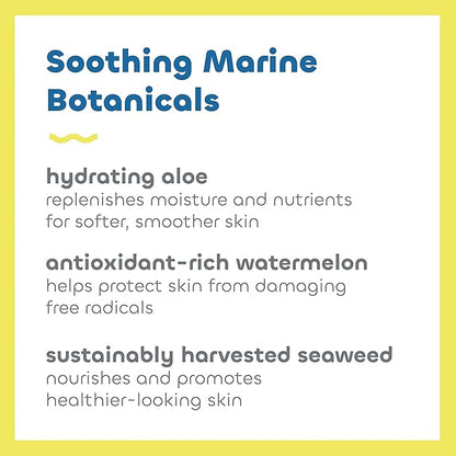 Seaweed Bath Co. Active Defense SPF 50 Sport Broad Spectrum Hybrid Sunscreen Cream, 3.4 Ounce, Sustainably Harvested Seaweed, Aloe, Watermelon