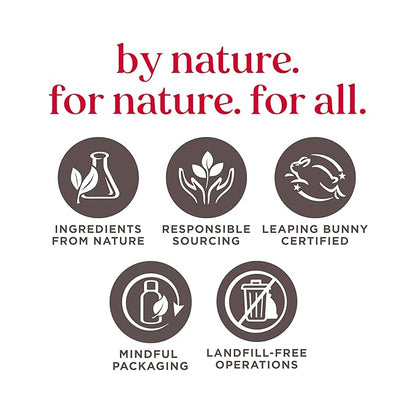 Burt's Bees Gifts Ideas - In Full Bloom Lip Balm Set, Original Beeswax, Dragonfruit Lemon, Tropical Pineapple & Strawberry, Natural Origin Lip Treatment, 4 Tubes, 0.15 oz.