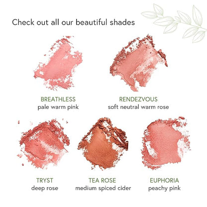 Honeybee Gardens Complexion Perfecting Blush in Euphoria, Cool Peachy Pink, Vegan & Gluten-Free, 8.5g