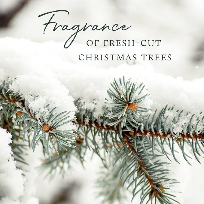 Thymes Frasier Fir Hand Cream, Travel