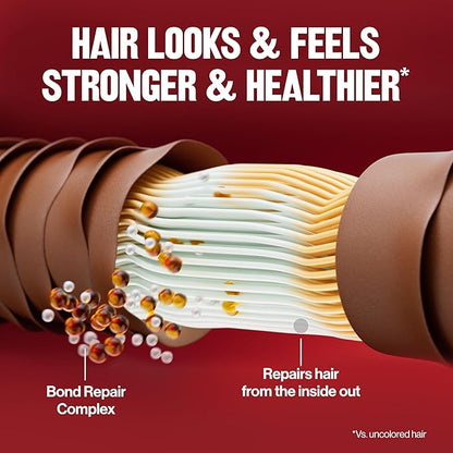 Revlon ColorSilk with Bond Repair Complex, Blonde Permanent Hair Color, 100% Gray Coverage, Ammonia Free Hair Dye, Vegan Keratin, 81 Light Blonde (Pack of 3)