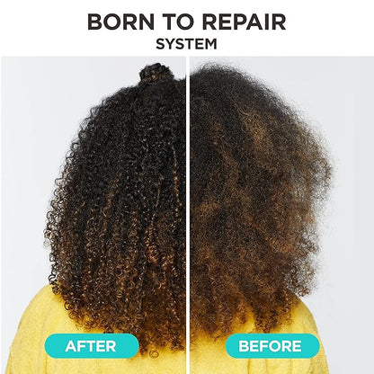 Carol's Daughter Born To Repair Nourishing Conditioner, Sulfate-Free Hair Care for Curly Hair with Shea Butter, 11 Fl Oz